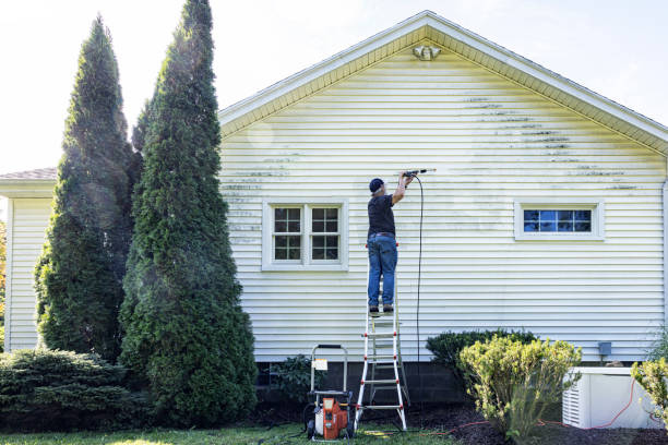 Best Affordable Pressure Washing  in Linden, CA