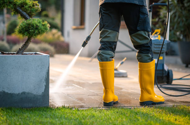 Best Roof Pressure Washing  in Linden, CA